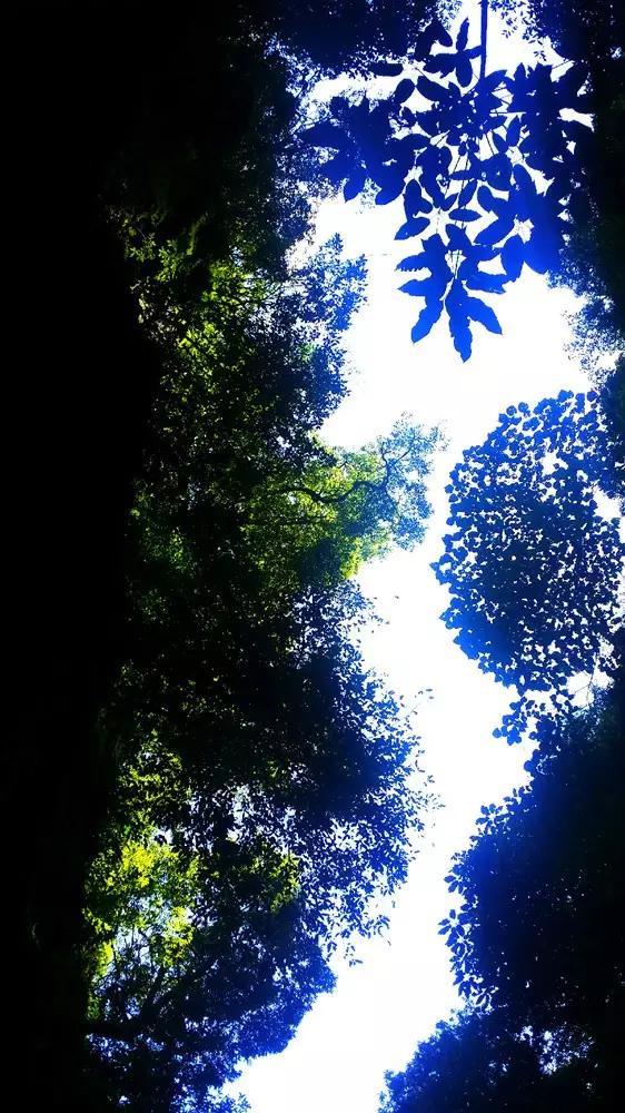 逃离无人大住宅