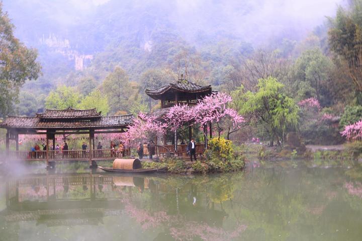 患有桥本病,会遗传吗?-智慧问答平台,快速解决你的疑惑