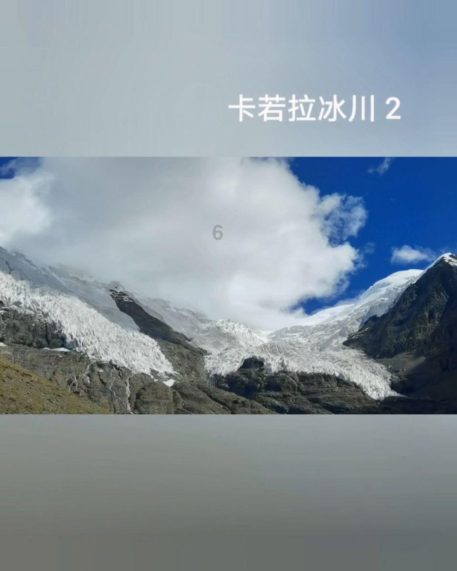 植物大战僵尸18